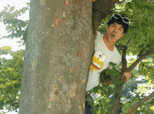 Matsuyama Kenichi Tree Climbing GIF - Matsuyama Kenichi Tree Climbing Jdrama GIFs