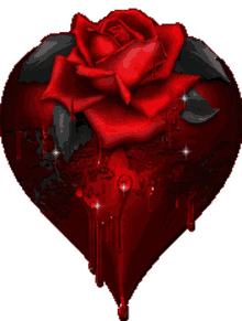 skull love heart intoxicating rose