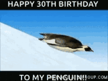 Penguin Happy GIF - Penguin Happy Birthday GIFs