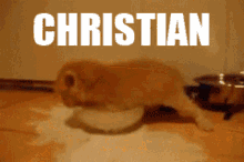 Christianag101 GIF - Christianag101 GIFs