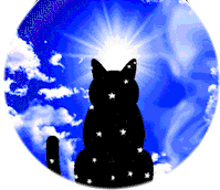 Cosmic Cat Sticker - Cosmic Cat Art Stickers