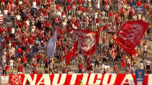 Cheering Botafogo Vs Nautico GIF - Cheering Botafogo Vs Nautico Wave Flag GIFs