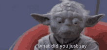 What Did You Just Say Yoda GIF - What Did You Just Say Yoda Star Wars GIFs