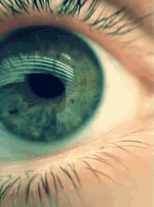 Yeşil Göz GIF - Yesil Goz GIFs