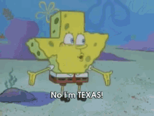 Hey Patrick, What Am I Now? Stupid? No, I'M Texas! GIF - Spongebob Stupid Texas GIFs