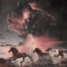 Horses Storm GIF - Horses Storm Lightning GIFs