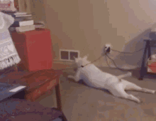 Dog Tired GIF - Dog Tired Exhausted GIFs