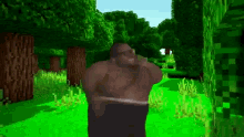 Black Guy Dancing In Minecraft GIF - Black Guy Dancing In Minecraft Vibing GIFs