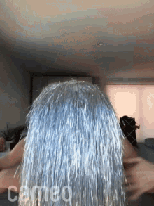 whip my hair mark kanemura cameo silver wig hair flip