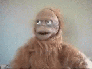 Yeti Monkey GIF - Yeti Monkey Dumb - Discover & Share GIFs