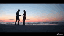 Wedding Proposal GIF - Wedding Proposal Beach GIFs