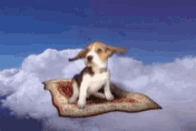 Beagle In Flight Flying GIF - Beagle In Flight Flying Cute GIFs