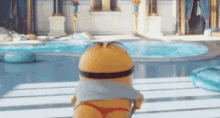 pool despicable