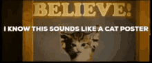 Cat Poster The Lego Movie GIF - Cat Poster The Lego Movie Believe GIFs