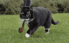 Cat Steampunk GIF - Cat Steampunk Tophat GIFs