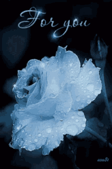 For You White Rose I Love You Very Much GIF - For You White Rose I Love You Very Much White Rose GIFs