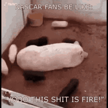 funny meme