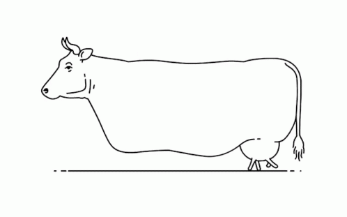 cow-walking.gif