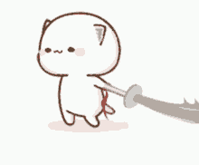random cat sword