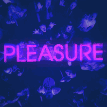 Pleasure Voyagers GIF - Pleasure Voyagers Happiness GIFs