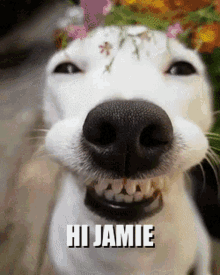 Izzy Says Hi Hi Jamie GIF - Izzy Says Hi Hi Jamie GIFs