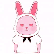 animal bunny rabbit cute angry