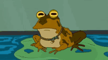Hypno Toad GIF - Futurama GIFs