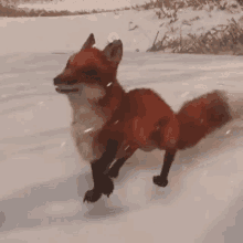 Fox Happy GIF - Fox Happy Dance GIFs