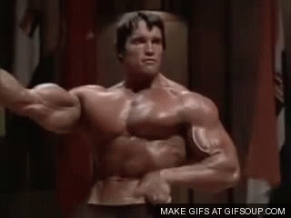 Schwarzenegger GIFs | Tenor