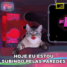 hoje eu estou subindo pelas paredes desesperada desesperado hoje eu to que to premios mtv miaw hoje eu estou subindo pelas paredes desesperada desesperado hoje eu to que to premios mtv miaw