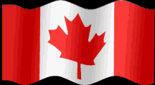 Canadian Flag GIF - Canada GIFs