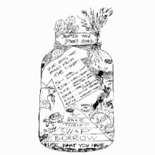 fermentation fermentation