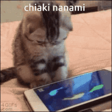 Chiaki Nanami Danganronpa GIF - Chiaki Nanami Danganronpa Cat GIFs
