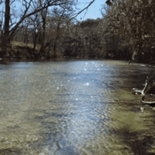 Sparkle River GIF - Sparkle River GIFs