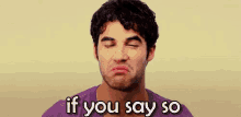 If You Say So GIF - If You Say So Darren Criss Blaine Anderson GIFs