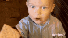 Kid Biscuit GIF - Kid Biscuit Cute GIFs