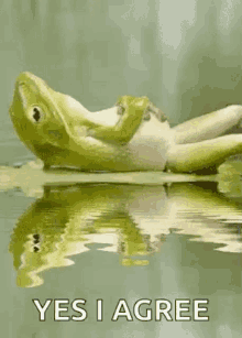 Frog Chill GIF - Frog Chill Yes I Agree GIFs