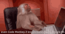 Code Monkey Zbs GIF - Code Monkey Zbs GIFs