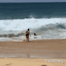 Getting Pushed By The Waves Viralhog GIF - Getting Pushed By The Waves Viralhog Swimming In The Beach GIFs