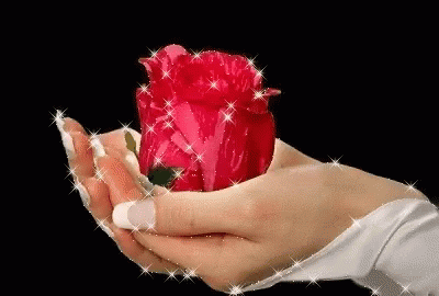 Rose Hand GIF - Rose Hand Sparkle - Descubre & Comparte GIFs