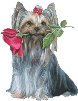 Love You Doggie Sticker - Love You Doggie Rose Stickers