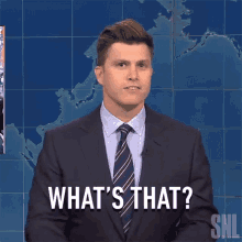 Whats That Saturday Night Live GIF - Whats That Saturday Night Live What Was That Again GIFs