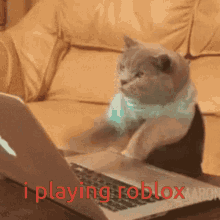 Roblox Cat GIF - Roblox Cat Funny Animals GIFs