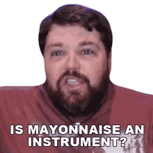 is mayonnaise an instrument brian hull can i play using mayonnaise can mayonnaise make sound