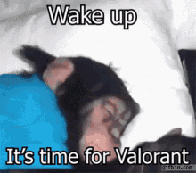Valorant Monke GIF - Valorant Monke Wake Up GIFs