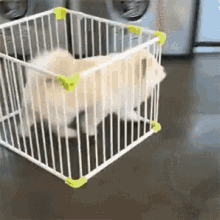 trapped please