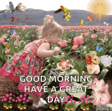 Good Morning Great Day GIF - Good Morning Great Day Flowers GIFs