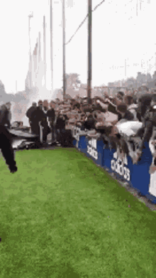 ol lyon sylvinho olympique lyonnais football ol lyon sylvinho olympique lyonnais football