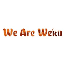 We Are Weku Weku GIF - We Are Weku Weku GIFs