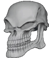 Skull Skull Emoji Sticker - Skull Skull Emoji Medication Stickers